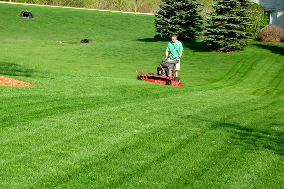 commercial lawn care